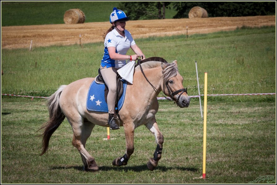 Mounted Games 276